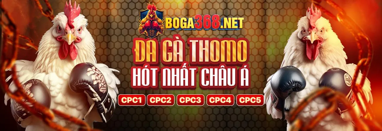 Sân đấu đá gà trực tuyến sôi động tại Typhu88